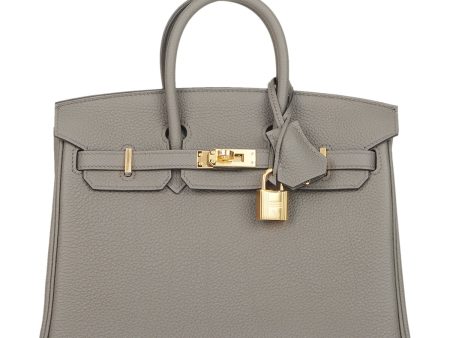 Hermes Birkin 25 Etain Togo Gold Hardware on Sale