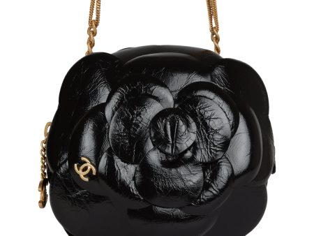 Chanel Camellia Clutch with Chain Black Shiny Calfskin Gold Hardware Online Hot Sale