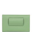 Hermes Kelly Pocket Belt 18 Vert Criquet Chai Bleu Frida Epsom Gold Hardware Online now